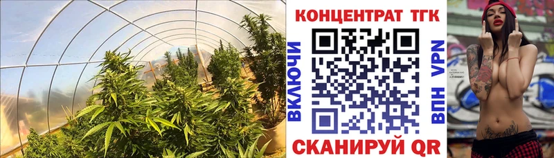 ТГК жижа  даркнет сайт  Южноуральск 